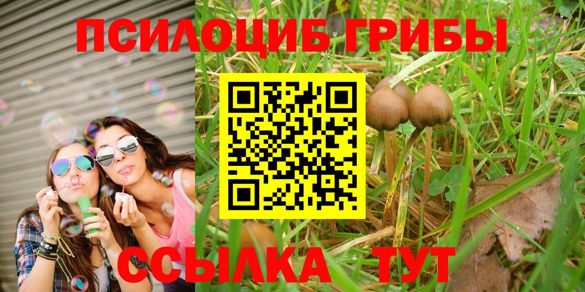 Томск  Галлюциногенные грибы Psilocybine cubensis  Вход с VPN  Галлюциногенные грибы Psilocybine cubensis 