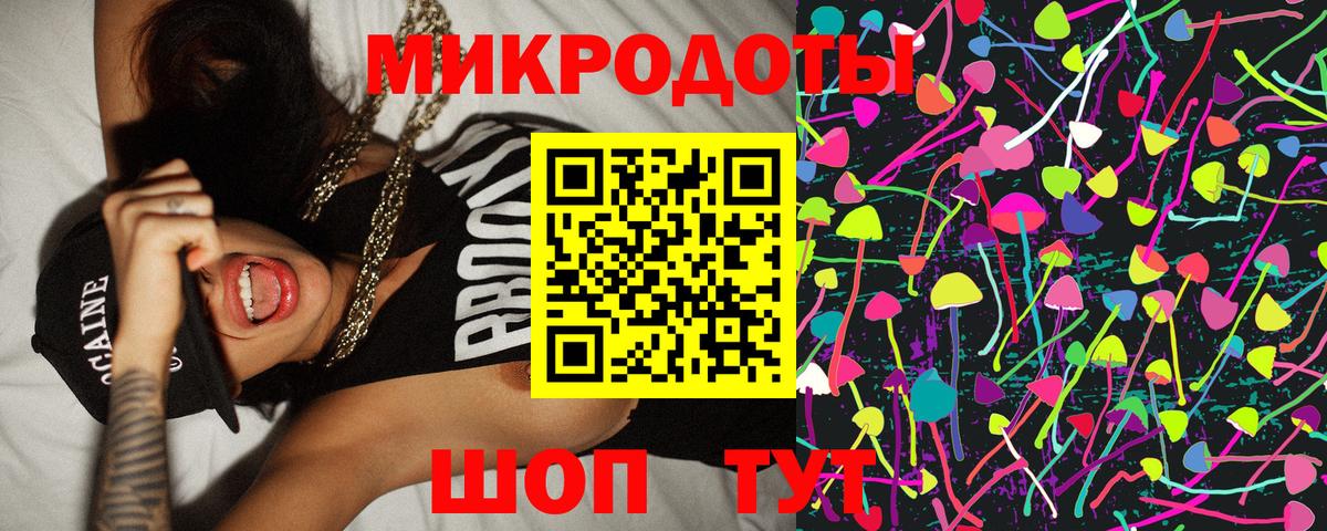 Галлюциногенные грибы Psilocybe Томск